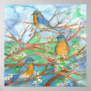 Search for bluebirds posters Nature