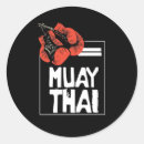 Search for muay thai fight stickers Boxer
