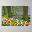 Search for liss posters Netherlands
