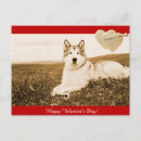 Search for st valentines day cards Dogs