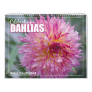 Search for dahlia calendars Beautiful