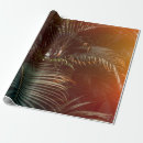 Search for bright wrapping paper Color