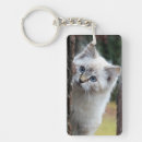 Search for cat in tree key rings Kitty