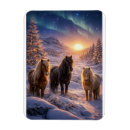 Search for iceland magnets Pony