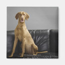 Search for dog portrait magnets Mammal