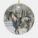 Search for appaloosa horse christmas tree decorations Snow