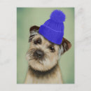 Search for border postcards Terrier