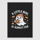 Search for due magnets Mum to be