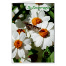 Search for encouraged Peace