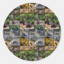 Search for otter stickers Cute otters