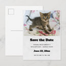 Search for kitten pics invitations Cute kitty