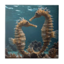 Search for seahorse tiles Marine