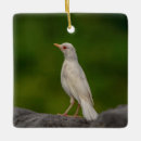 Search for rare christmas tree decorations Animal