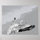 Search for black and white tropical posters Coastal