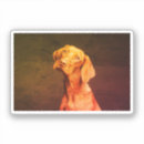 Search for magyar stickers Vizsla