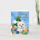 Search for westie christmas cards Pets