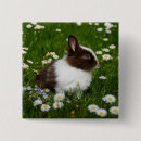Search for easter badges Trendy