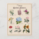 Search for victorian floral postcards Flower