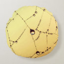 Search for spider cushions Yellow