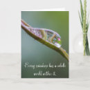 Search for raindrop cards Reflections