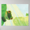Search for baby toad posters Animals