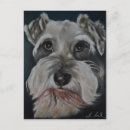 Search for miniature schnauzer postcards Schnauzers