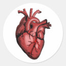 Search for heart surgeon stickers Nurse