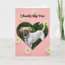 Search for really funny cards Dog