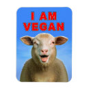 Search for veganism rectangular magnets Food