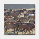Search for horse ranch magnets Meadow