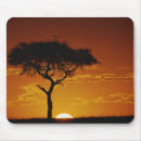 Search for acacia mousepads Masai mara