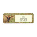Search for corn return address labels Farmer