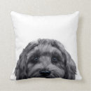 Search for labradoodle cushions Cute