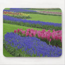 Search for hyacinth mousepads Green