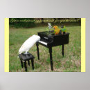 Search for parrots posters Animal