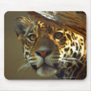 Search for wild one mousepads Wildlife