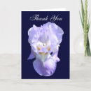 Search for bearded iris cards Nature