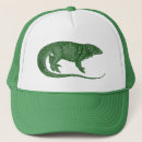 Search for lizard hats Amphibians