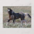 Search for ken postcards Ranch