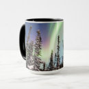 Search for northern forest mugs Stars