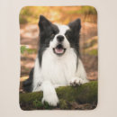 Search for border collie blankets Canine