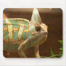 Search for pre historic mousepads Animal