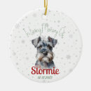 Search for bereavement christmas tree decorations Loss