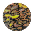 Search for dinosaur cookware Close up
