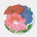 Search for packet magnets Floral