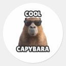 Search for cool stickers Humour