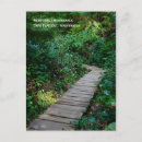 Search for rainforest postcards Trees