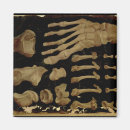 Search for anatomically magnets Aquapendente