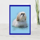 Search for lhasa cards Dog