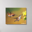 Search for hummingbird canvas prints Ornithology
